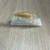 Gambas Gambas
