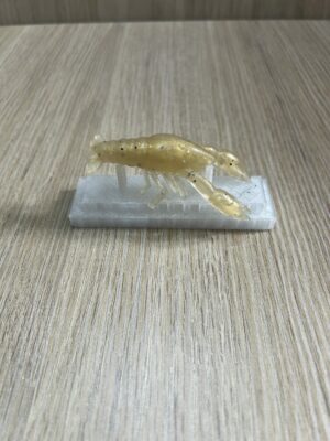 Gambas Gambas