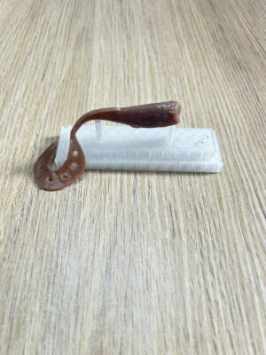 Saurel Saurel