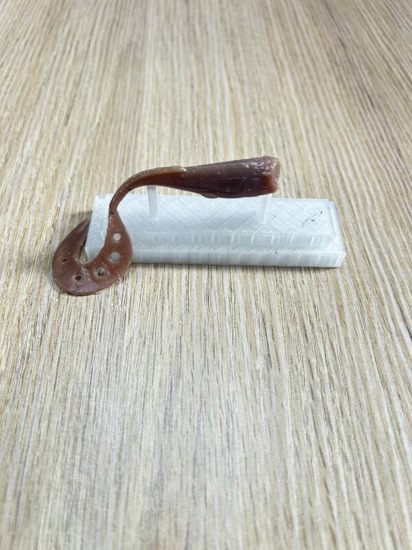 Saurel