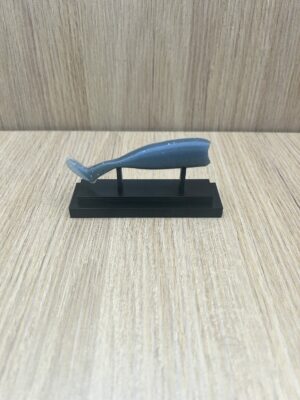 Tacaud Tacaud